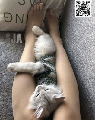 韩国熄和公4电影免费看_DVD在线播放